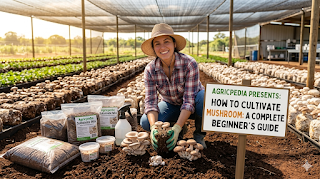 How to Plant Mushrooms (Cultivated): A Beginner’s Growing Guide | Agricpedia