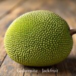 Jackfruit